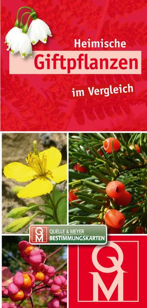 Produktbild: Heimische Giftpflanzen im Vergleich