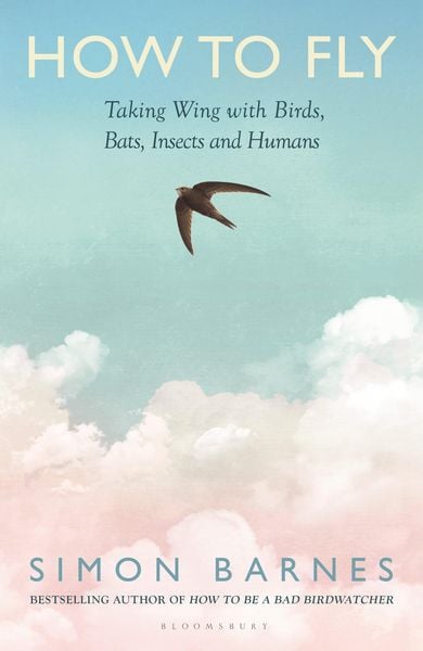 Produktbild: How to Fly
