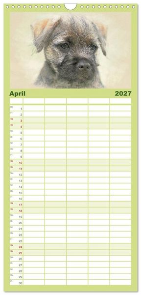 Produktbild: Familienplaner 2027 - Hundewelpen 2027 mit 5 Spalten (Wandkalender, 21 x 45 cm) CALVENDO