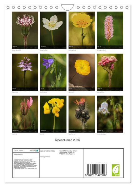 Produktbild: Alpenblumen 2026 (Wandkalender 2026 DIN A4 hoch), CALVENDO Monatskalender