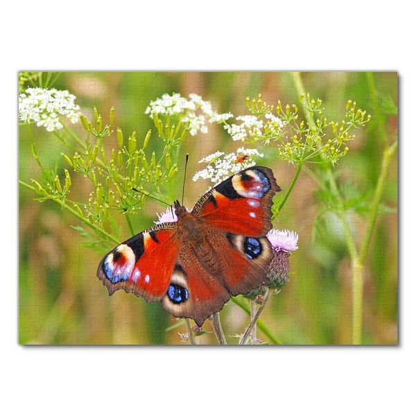 Produktbild: Lais Puzzle Schmetterling 500 Teile