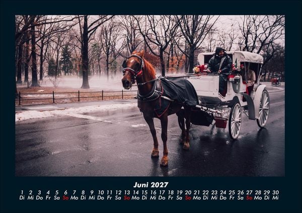 Produktbild: Pferde Kalender 2027 Fotokalender DIN A4