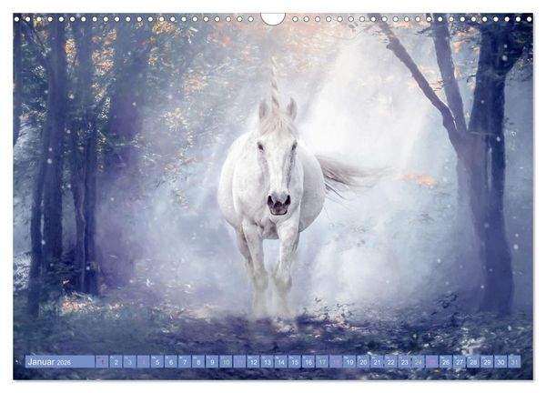 Produktbild: Einhorn Zauber - anmutige Einhornbilder (Wandkalender 2026 DIN A3 quer), CALVENDO Monatskalender