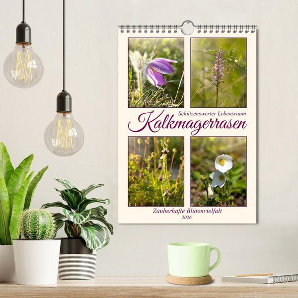 Produktbild: Kalkmagerrasen (Wandkalender 2026 DIN A4 hoch), CALVENDO Monatskalender