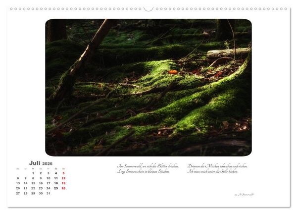 Produktbild: Max Dauthendey - Mit dem Wald durchs Jahr (Wandkalender 2026 DIN A2 quer), CALVENDO Monatskalender