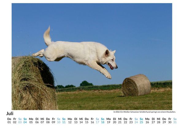 Produktbild: Berger Blanc Suisse