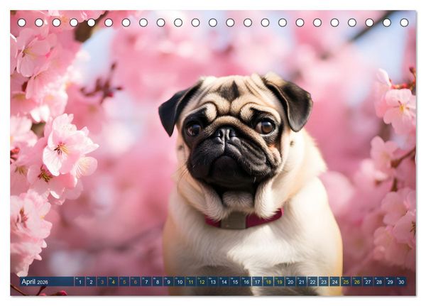 Produktbild: Lustige Mops-Hunde: Die charmanten Meister von Chaos und Unfug (Tischkalender 2026 DIN A5 quer), CALVENDO Monatskalender