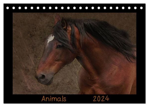 Animals (Tischkalender 2024 DIN A5 quer), CALVENDO Monatskalender