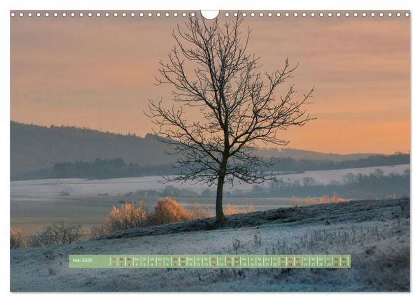 Produktbild: Zauber des Lichts (Wandkalender 2026 DIN A3 quer), CALVENDO Monatskalender