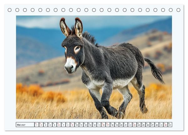 Produktbild: Sanfte Eselpoesie. Momente zwischen Bergwelt und Meer (Tischkalender 2027 DIN A5 quer), CALVENDO Monatskalender