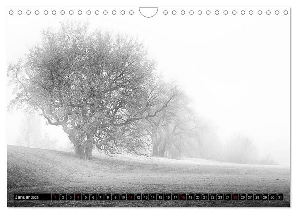 Produktbild: Die Magie der Stille (Wandkalender 2026 DIN A4 quer), CALVENDO Monatskalender