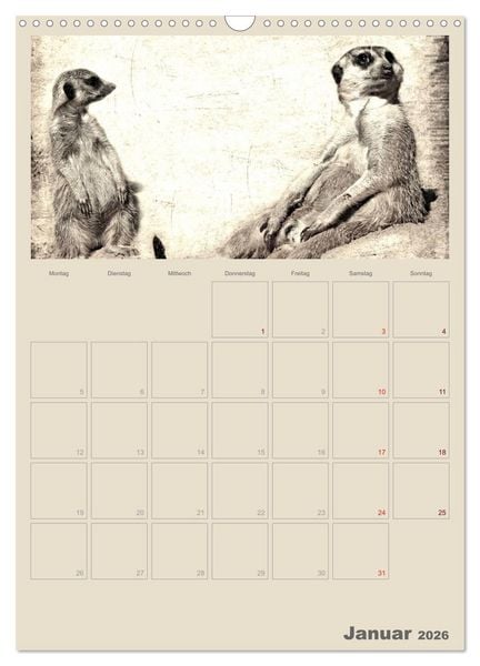Produktbild: Lustige Erdm&auml;nnchen (Wandkalender 2026 DIN A3 hoch), CALVENDO Monatskalender