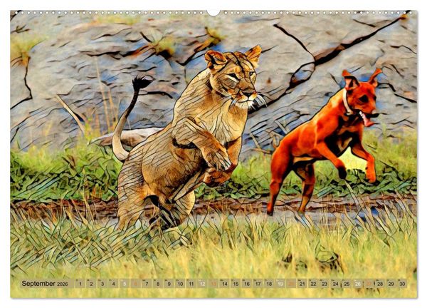 Produktbild: Rhodesian Ridgeback der Hund mit dem Tropfen L&ouml;wenblut (Wandkalender 2026 DIN A2 quer), CALVENDO Monatskalender