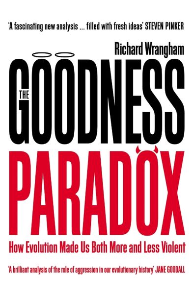 Produktbild: The Goodness Paradox