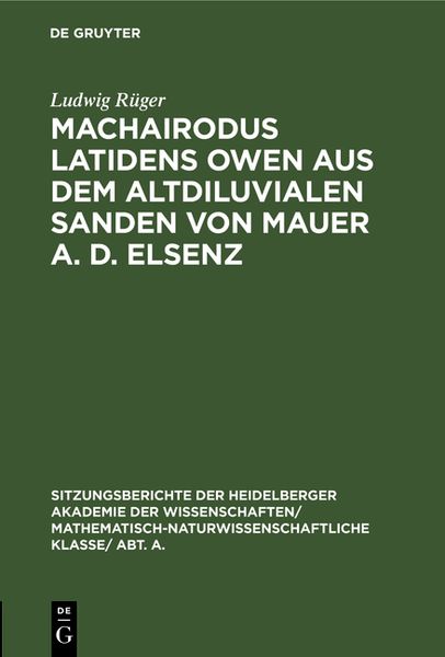 Produktbild: Machairodus latidens Owen aus dem altdiluvialen Sanden von Mauer a. d. Elsenz