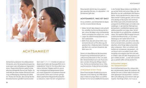 Produktbild: Meine Gesundheitsformel - Gesund, schlank, glücklich