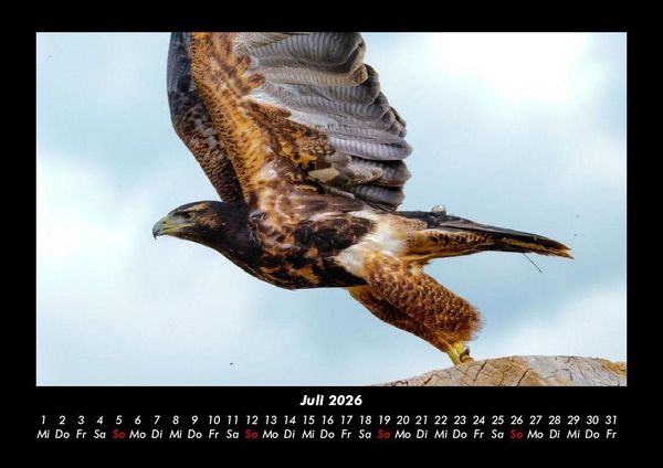 Produktbild: Adler 2026 Fotokalender DIN A3