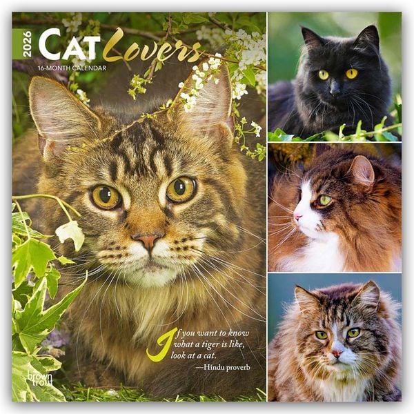 Cat Lovers - Katzenliebhaber 2026 - 16-Monatskalender