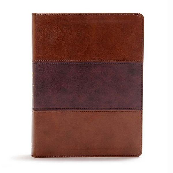 Produktbild: CSB Apologetics Study Bible, Mahogany Leathertouch