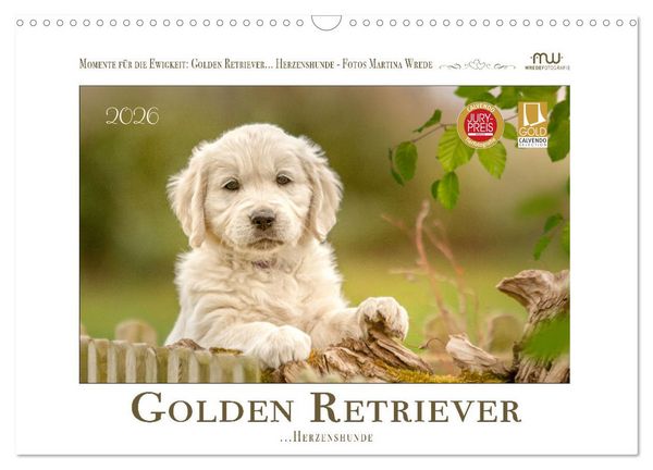Produktbild: Golden Retriever... Herzenshunde (Wandkalender 2026 DIN A3 quer), CALVENDO Monatskalender