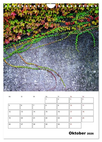 Produktbild: Mauerbl&uuml;mchen - Poesie im Allt&auml;glichen als Monatsplaner (Wandkalender 2026 DIN A4 hoch), CALVENDO Monatskalender