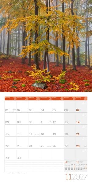 Produktbild: Zauber des Waldes Kalender 2027 - 30x30 - Art12