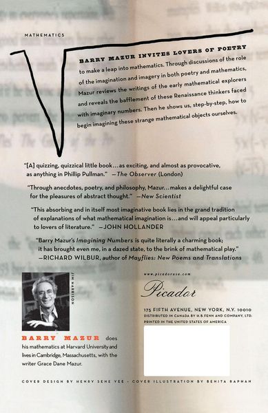 Produktbild: Imagining Numbers