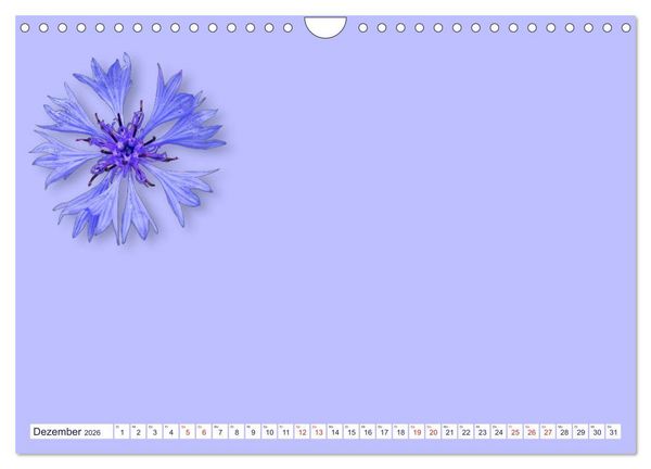Produktbild: DIY POESIE - BASTELKALENDER (Wandkalender 2026 DIN A4 quer), CALVENDO Monatskalender