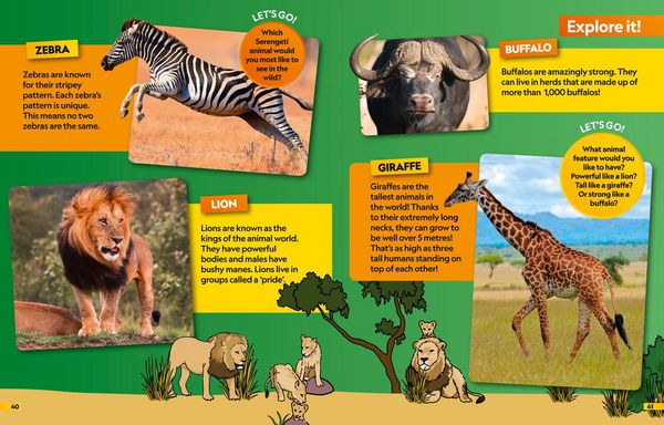 Produktbild: Animals Find it! Explore it!