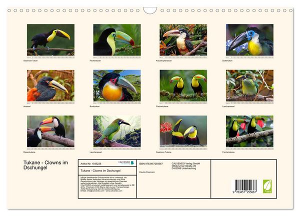 Produktbild: Tukane - Clowns im Dschungel (Wandkalender 2026 DIN A3 quer), CALVENDO Monatskalender