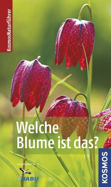 Produktbild: Welche Blume ist das?