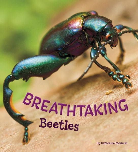 Produktbild: Breathtaking Beetles