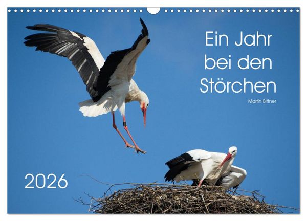 Produktbild: Ein Jahr bei den St&ouml;rchen (Wandkalender 2026 DIN A3 quer), CALVENDO Monatskalender