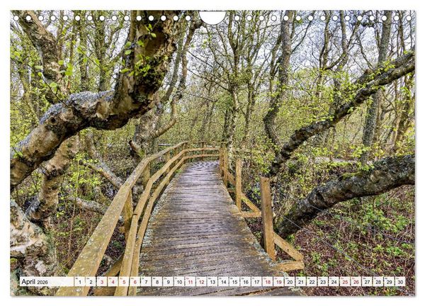 Produktbild: Inselbilder Amrum (Wandkalender 2026 DIN A4 quer), CALVENDO Monatskalender