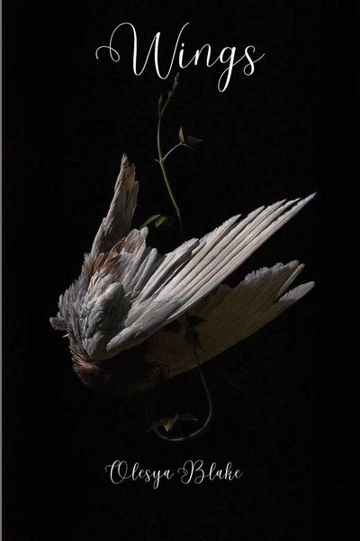 Produktbild: Wings