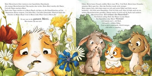 Produktbild: Maxi Pixi 491: Metti Meerschwein und das gro&szlig;e Abenteuer