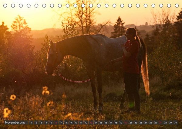 Produktbild: Pferd und Mensch in Harmonie (Tischkalender 2022 DIN A5 quer)