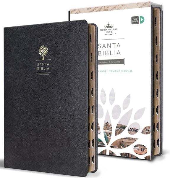 Produktbild: Biblia Reina Valera 1960 letra grande