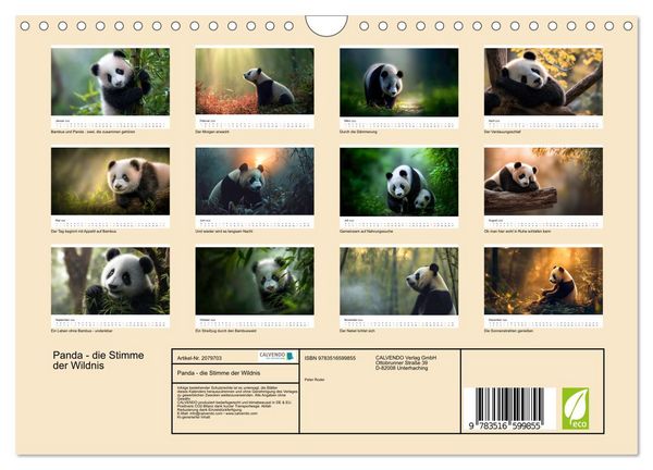 Produktbild: Panda - die Stimme der Wildnis (Wandkalender 2026 DIN A4 quer), CALVENDO Monatskalender