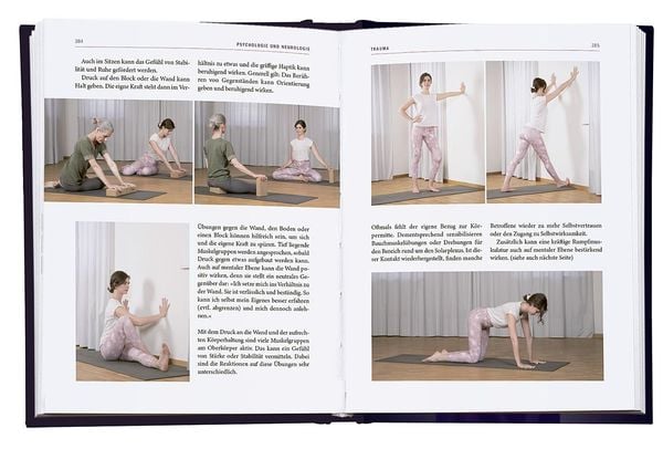Yoga-Therapie in der Praxis