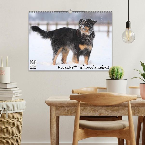 Produktbild: Hovawarte - einmal anders (Wandkalender 2026 DIN A3 quer), CALVENDO Monatskalender