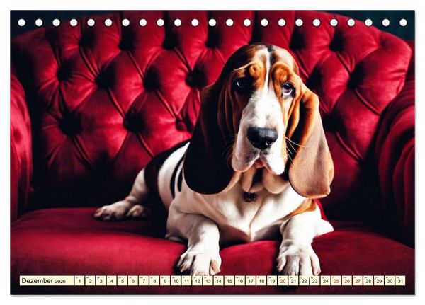 Produktbild: Basset Hound - unverkennbar (Tischkalender 2026 DIN A5 quer), CALVENDO Monatskalender