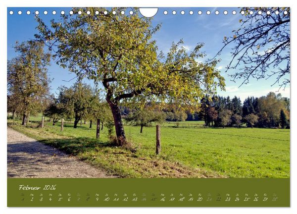 Produktbild: Spaziergang um das Kloster St. Ottilien (Wandkalender 2026 DIN A4 quer), CALVENDO Monatskalender