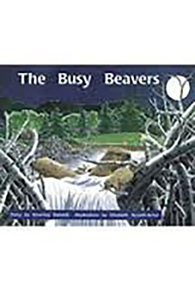 Produktbild: The Busy Beavers: Leveled Reader Bookroom Package Orange (Levels 15-16)