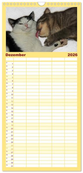 Produktbild: Familienplaner 2026 - Die Launen der Katzen 2026 mit 5 Spalten (Wandkalender, 21 x 45 cm) CALVENDO
