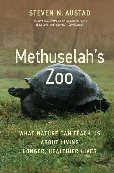 Produktbild: Methuselah's Zoo
