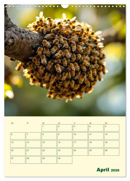 Produktbild: Bienenblick &ndash; Ein Jahr mit den Bienen (Wandkalender 2026 DIN A3 hoch), CALVENDO Monatskalender