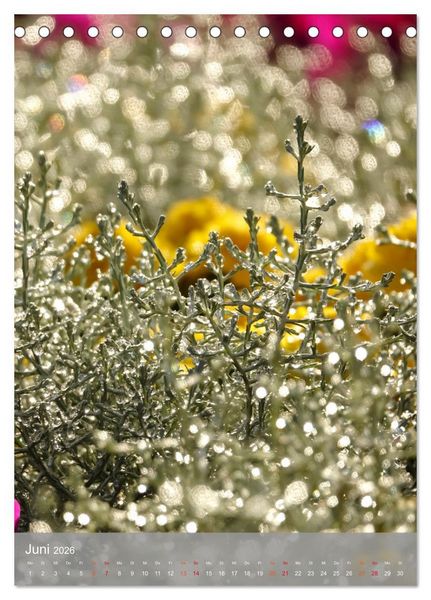 Produktbild: Mit Bokeh-Fotografie durch das Jahr (Tischkalender 2026 DIN A5 hoch), CALVENDO Monatskalender
