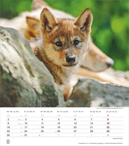 Produktbild: Mythos Wolf 2027
