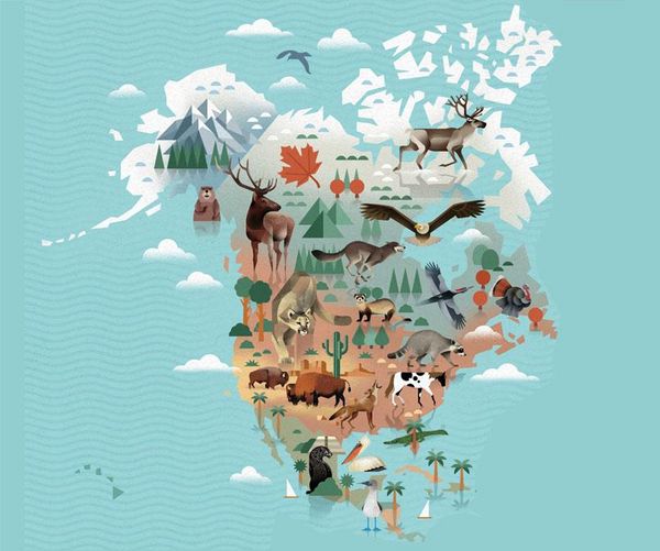 Produktbild: Die Welt der Tiere